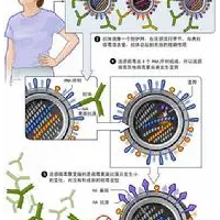 甲流肆虐，大家注意防护~甲型流感病毒介绍