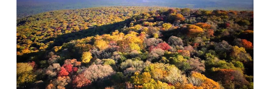 推荐公司开发"EnerGlo" 天然能量饮