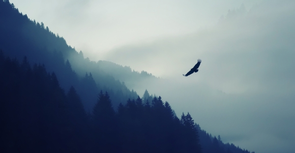 千岛湖的水，明艳艳